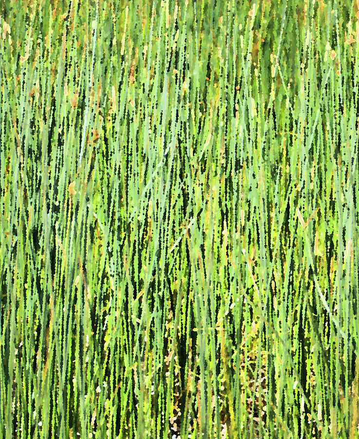 Grassy Abstract Photograph by Laurel Powell