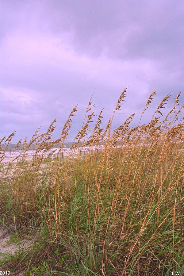 Grassy Dunes Vertical Photograph by Lisa Wooten