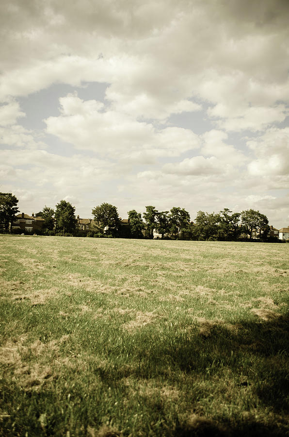 Grassy Field And Sky Scenic Landscape Photograph by Jaminwell