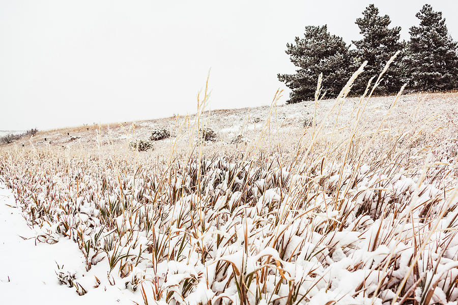 Grassy Hill Covered In Snow by Jeanette Fellows Grassy Hill Covered In Snow by Jeanette Fellows