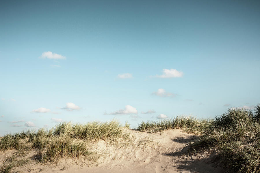 Sand dunes  NatureScot