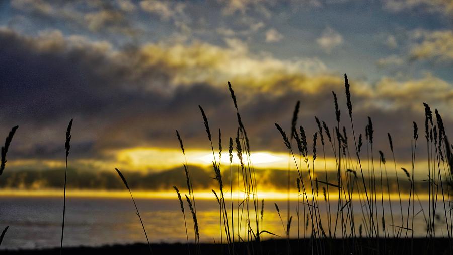 Grassy Shoreline Sunrise Photograph by Tom Gresham