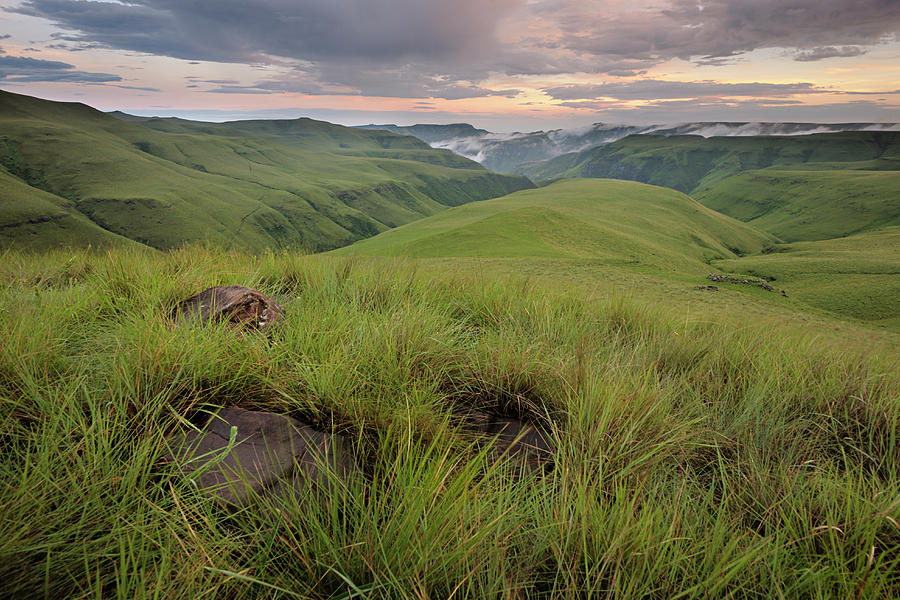 Grassy Slopes Of The Lower Drakensberg Photograph by Emil Von Maltitz