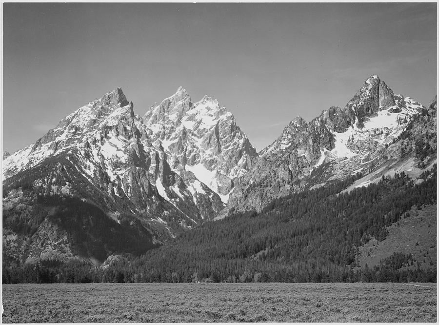 Grassy valley tree covered mountain side and snow covered peaks Grand Teton National Park Wyoming, Geology, Geological. 1933 - 1942 Painting by Ansel Adams
