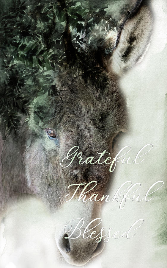 Grateful, Thankful, Blessed Photograph by Jennifer Grossnickle
