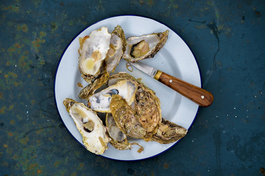 Gratinated Oysters On A Plate With A Knife Photograph by Sebastian Schollmeyer
