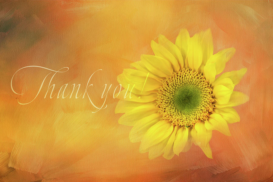 Gratitude Message Digital Art by Terry Davis