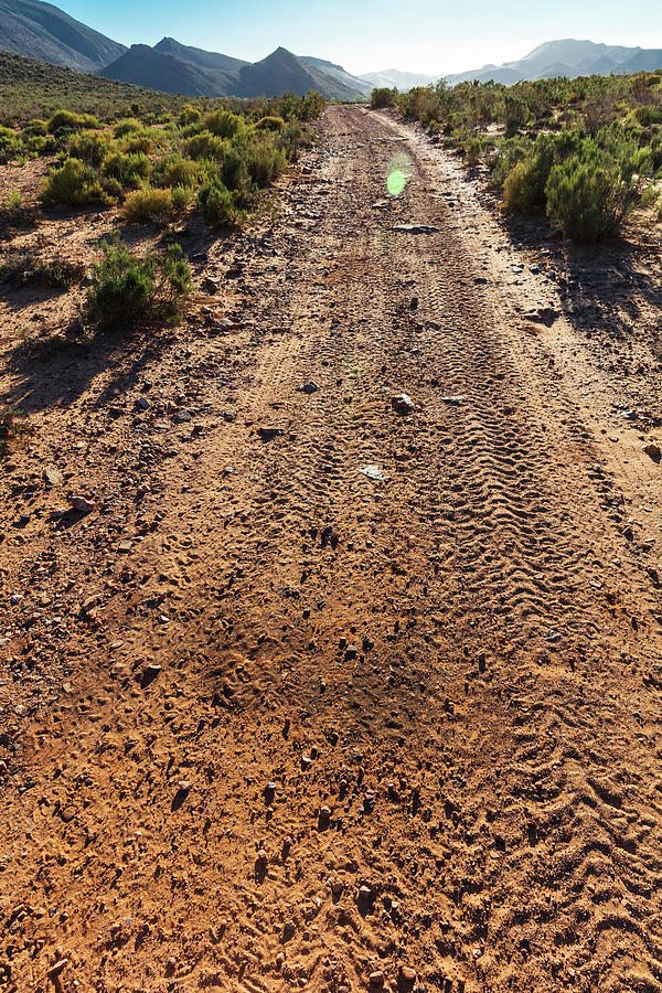 Nature Digital Art - Gravel Road In Nature Reserve, Cape Town, Western Cape, South Africa by Zero Creatives