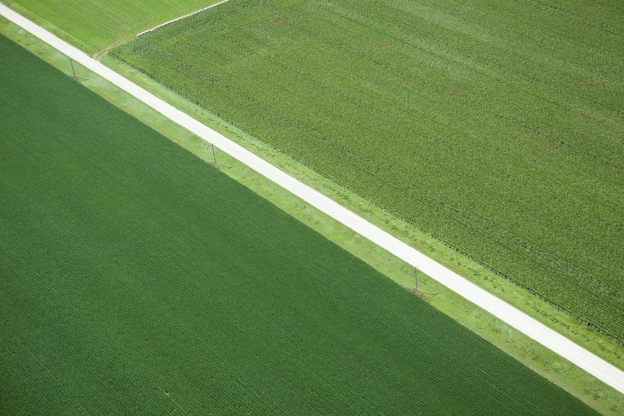 Gravel Road Runs Between Corn And Photograph by Banksphotos