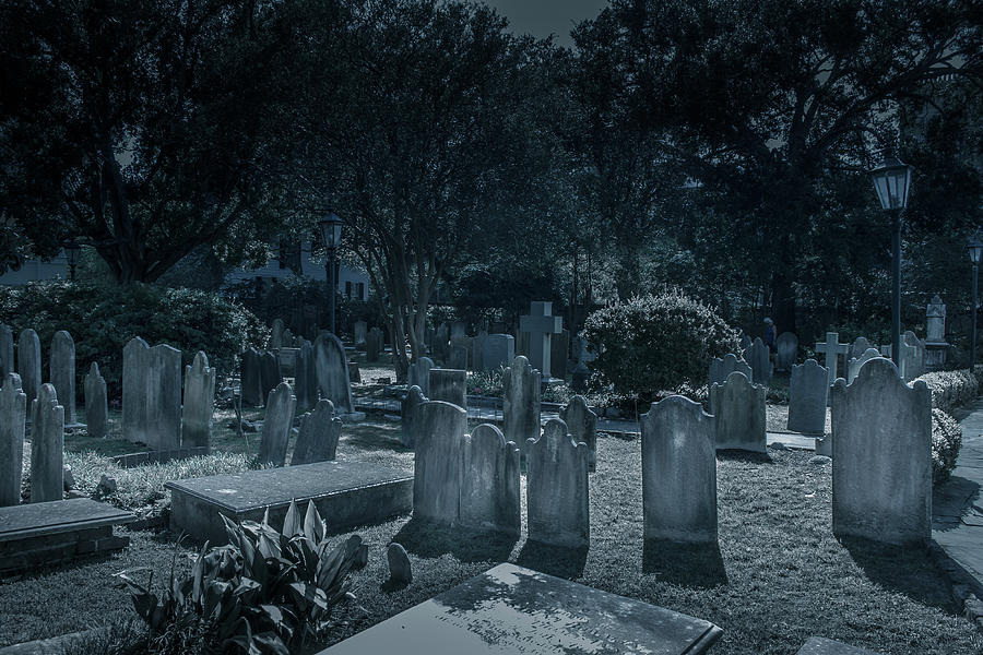Graveyard Gazing Photograph by Darrell Foster