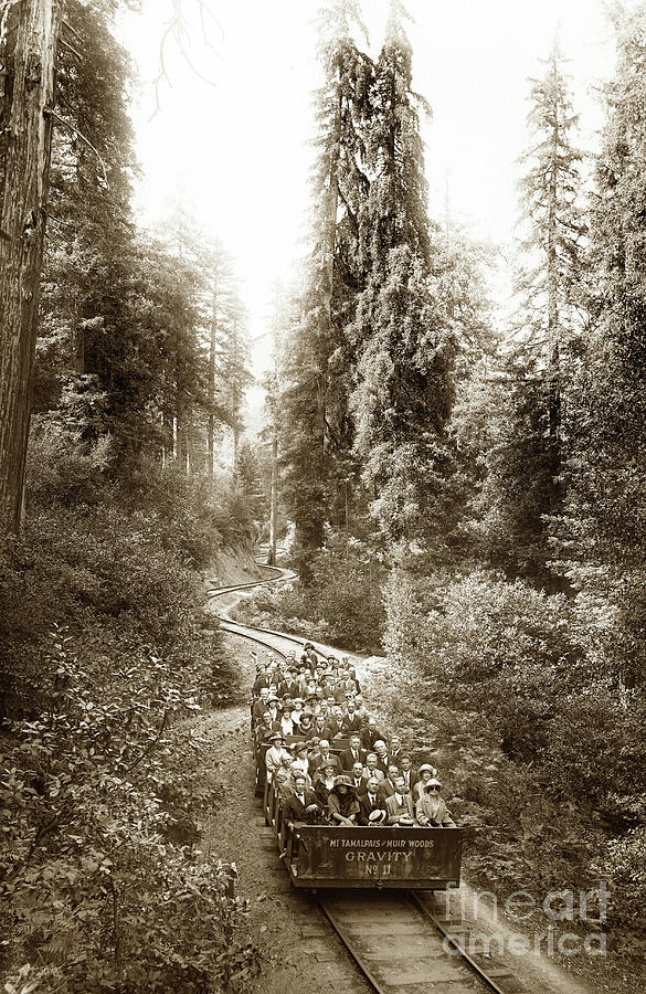 Gravity Car Photograph - Gravity Car No. 11 on the way to Muir Woods. Mount Tamalpais by Monterey County Historical Society