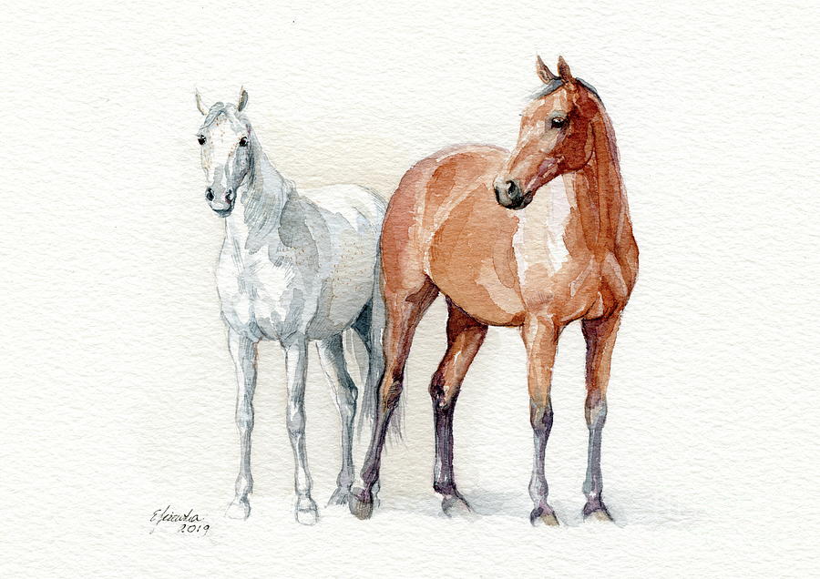 Gray And Bay Mare Painting