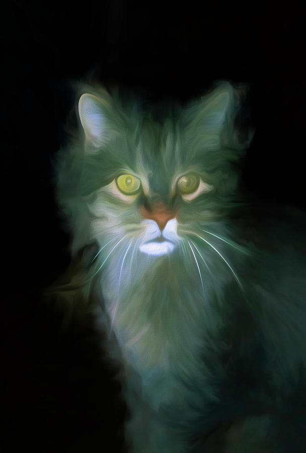 Cat in Gray Painted  Digital Art by Cathy Anderson