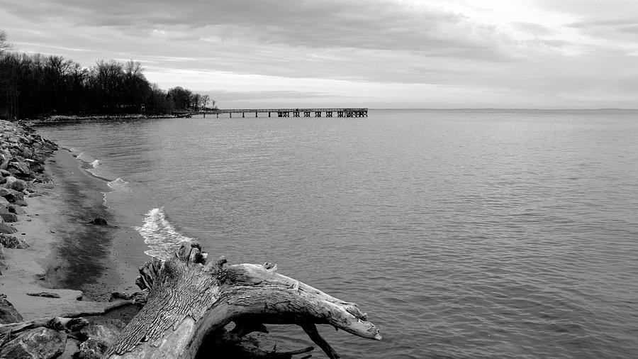 Gray Day on The Bay Photograph by Charles Kraus