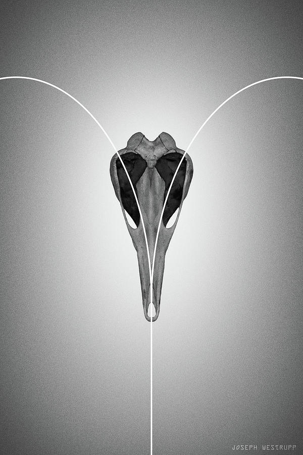 Gray Love From Ornithurae - Geometric Abstract Bird Skull Heart by Joseph Westrupp Gray Love From Ornithurae - Geometric Abstract Bird Skull Heart by Joseph Westrupp