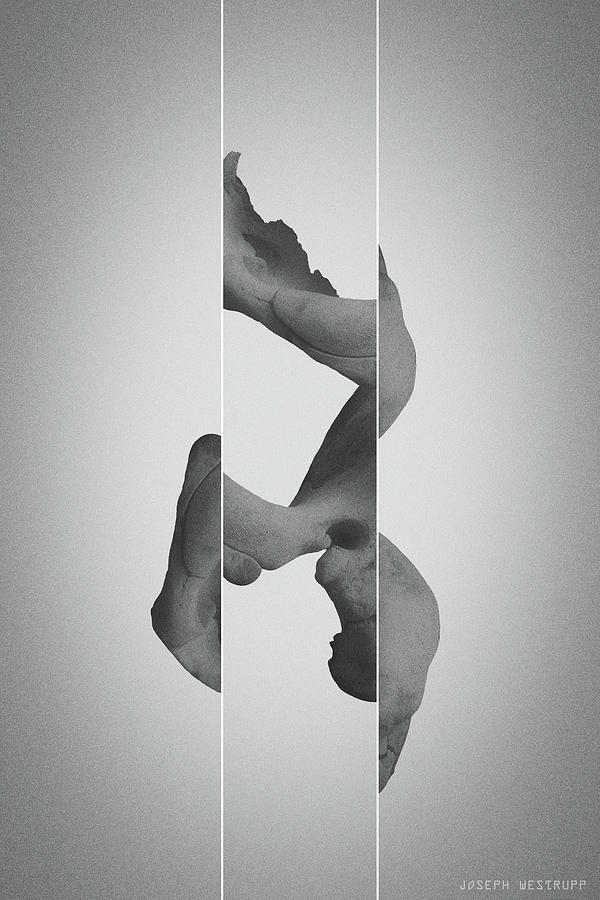 Gray Memorism - Surreal Abstract Elephant Bone Collage With Lines by Joseph Westrupp Gray Memorism - Surreal Abstract Elephant Bone Collage With Lines by Joseph Westrupp