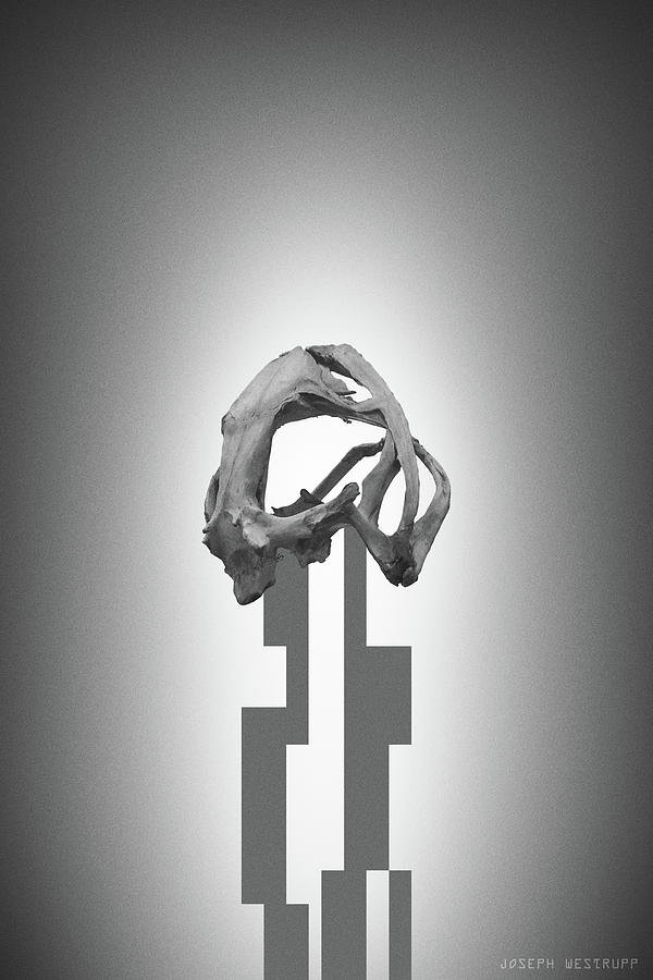 Gray Rose - Surreal Abstract Frog Skull by Joseph Westrupp Gray Rose - Surreal Abstract Frog Skull by Joseph Westrupp