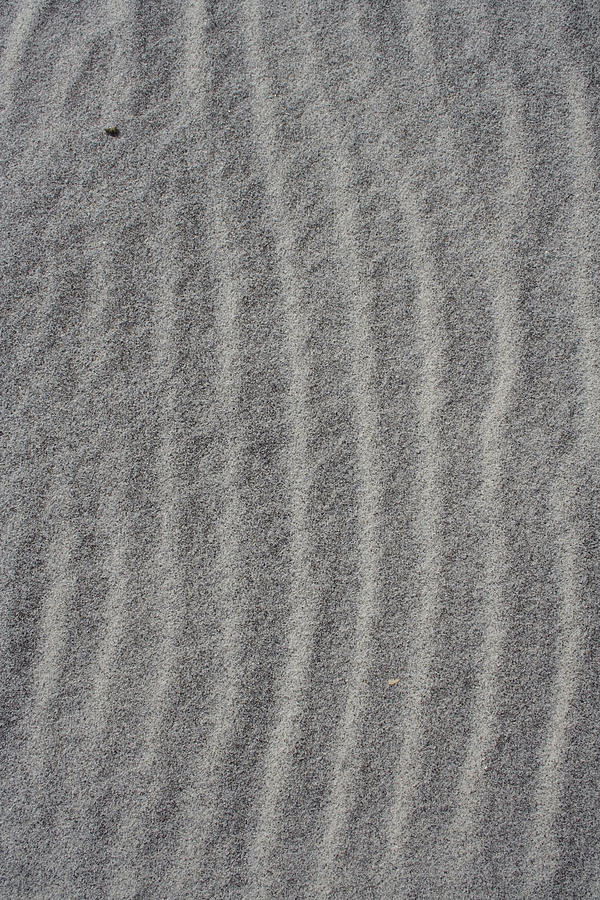 Gray Sands Photograph by Dylan Punke