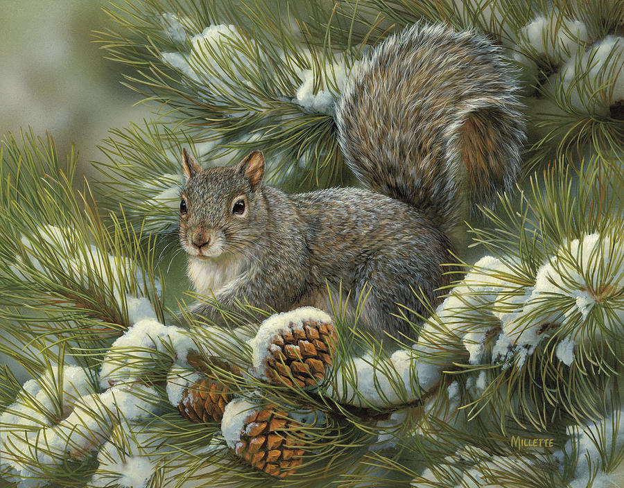 Squirrel Painting - Gray Squirrel by Wild Wings