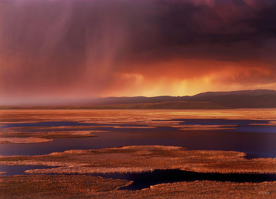Nature Photograph - Grays Lake Splendor by Leland D Howard