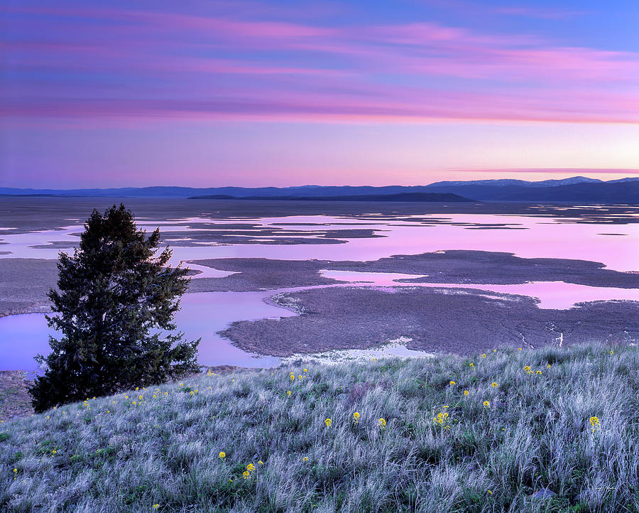 Nature Photograph - Grays Lake Sunrise by Leland D Howard