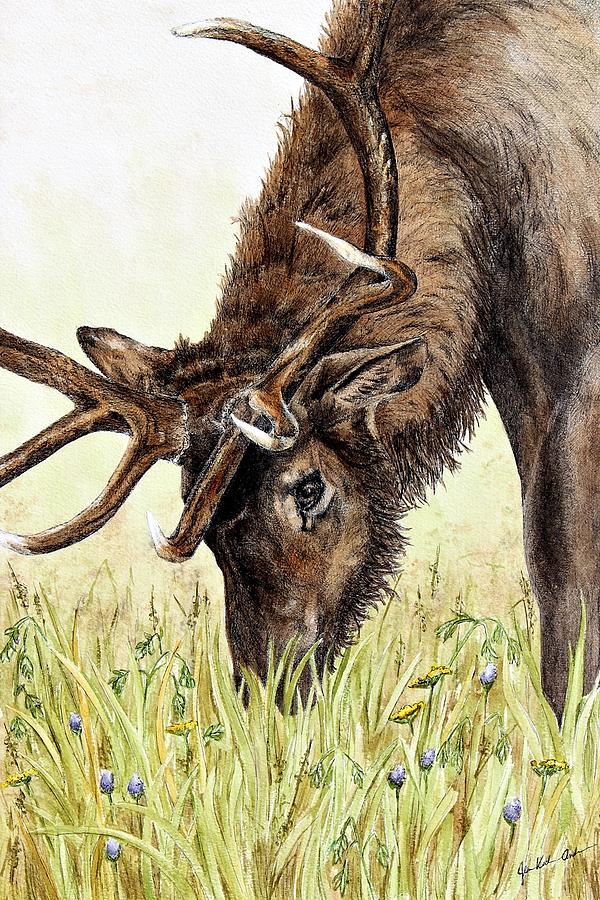 Jennifer Kocher-Anderson Wyoming wildlife artist. Original pen & ink with  watercolor artwork.
