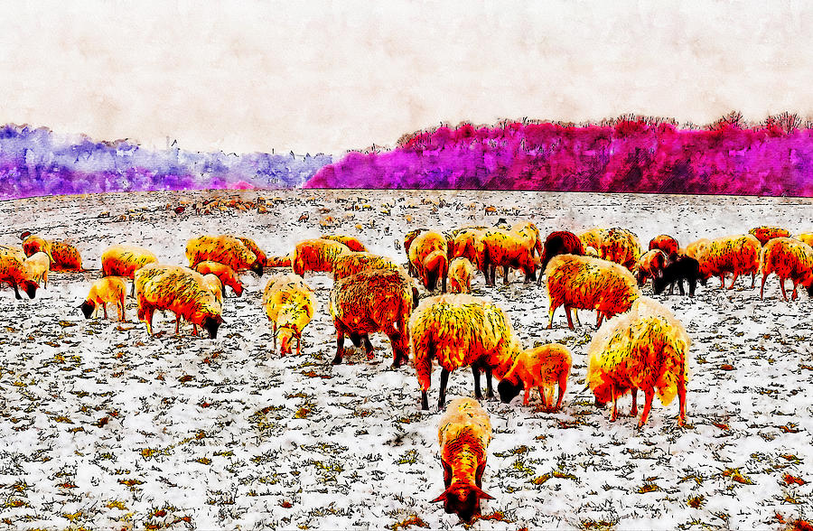Grazing Sheep watercolor drawing by Hasan Ahmed Grazing Sheep watercolor drawing by Hasan Ahmed