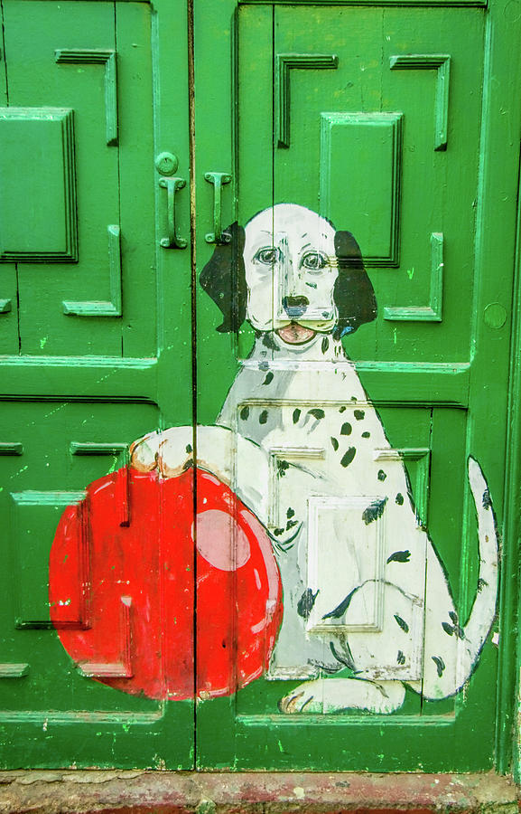 Green Door With Dog In Arica Chile Photograph