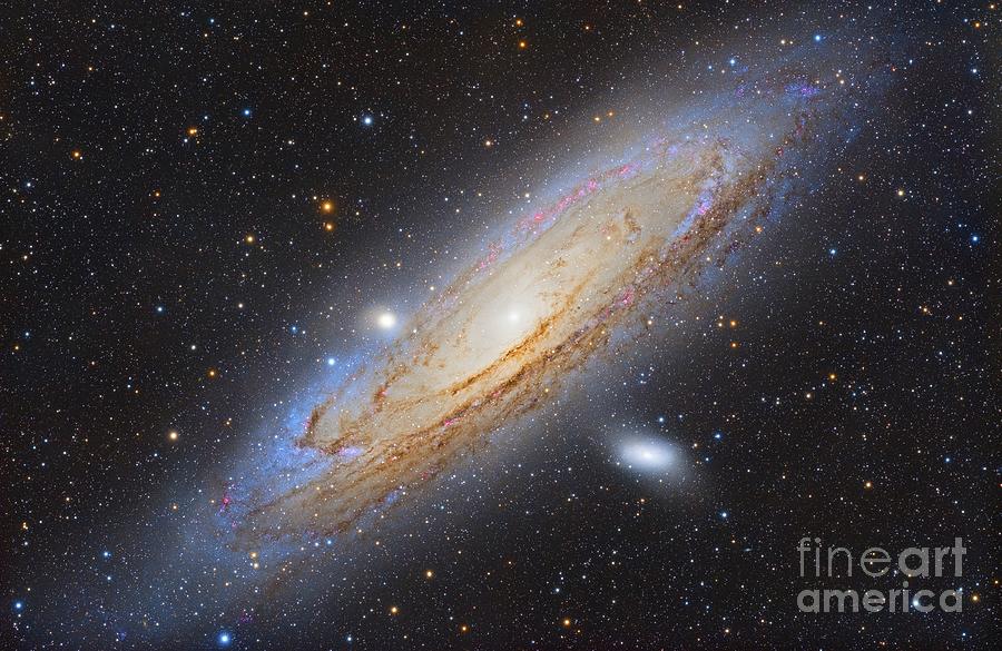 Great Andromeda Galaxy Photograph by Leo Shatz/science Photo Library