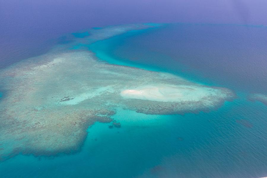 Paradise Photograph - Great Barrier Reef Blue Sea View by Levente Bodo