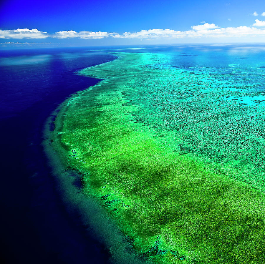 Great Barrier Reef From The Sky Photograph by Silvia O Images