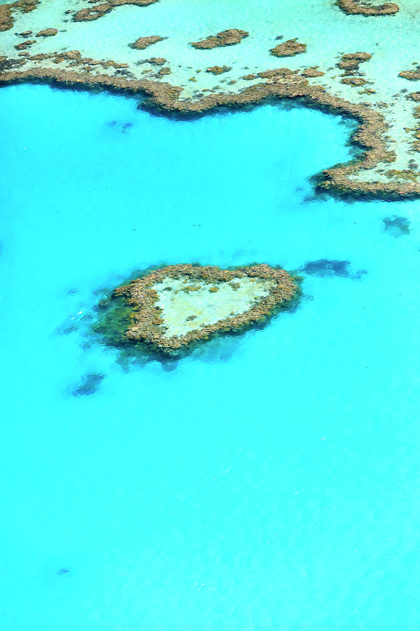 Great Barrier Reef In Australia Digital Art by Maurizio Rellini