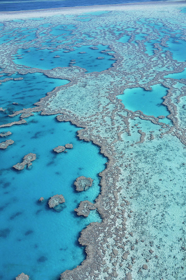 Great Barrier Reef Photograph by John W Banagan