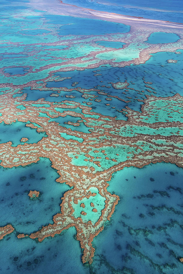 Great Barrier Reef Photograph by Kieran Stone