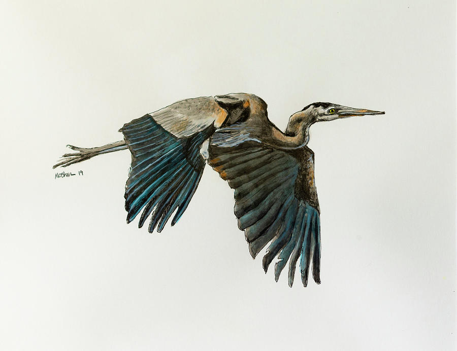 Great Blue Heron Acrylic Ink 4 Photograph by Rick Mosher