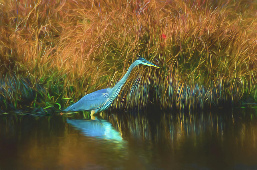 Great Blue Heron Photograph by Alan Goldberg