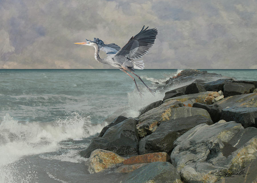 Great Blue Heron at Sand Key Digital Art by M Spadecaller