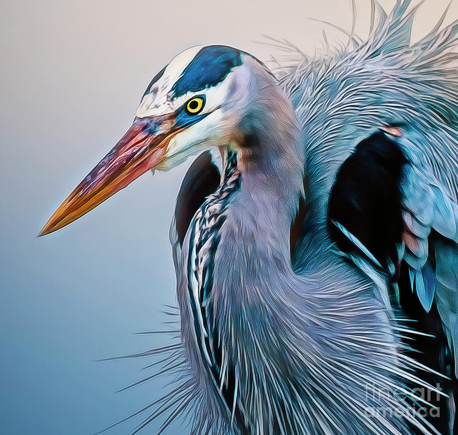 Heron Photograph - Great Blue Heron by Brian Tarr
