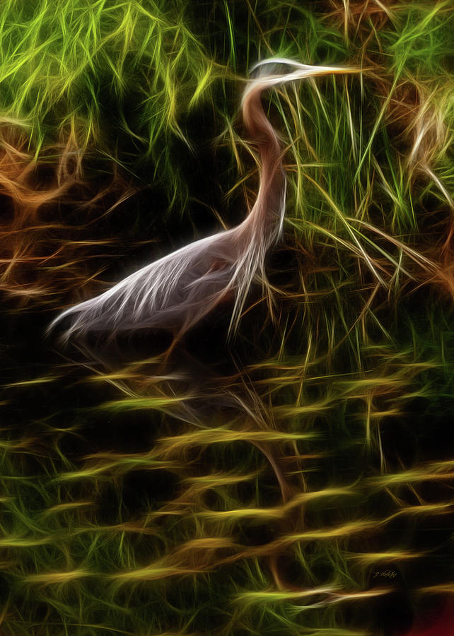 Great Blue Heron - Fractal Art Photograph by Jordan Blackstone