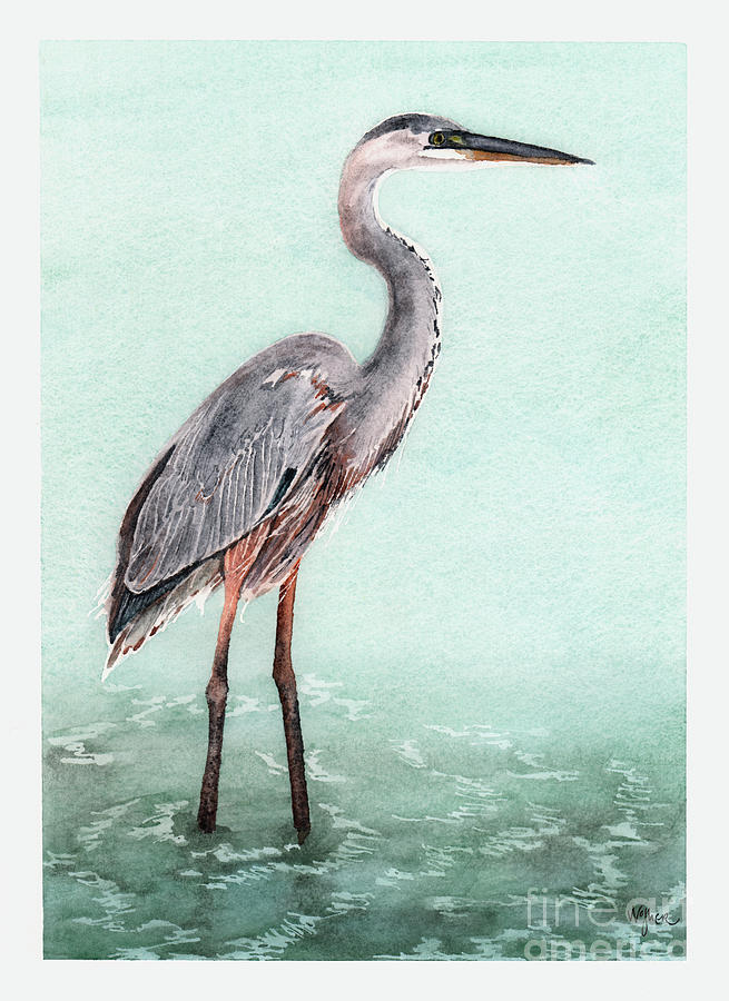 Great Blue Heron Wading Painting by Hilda Wagner