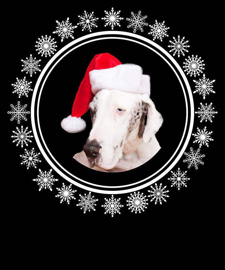 Great Dane Dog Christmas Santa Hat White Snowflakes Digital Art by ...