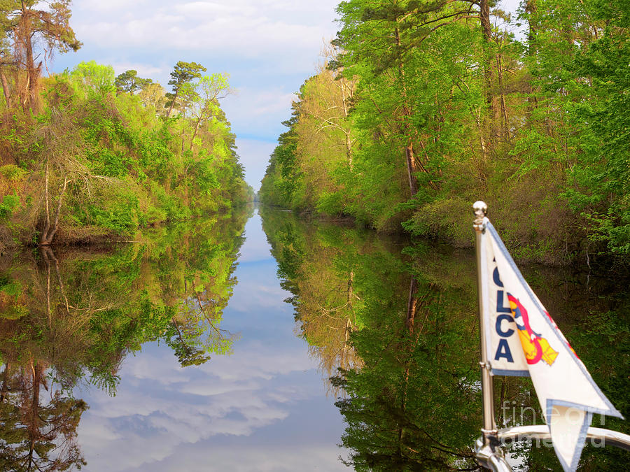 Great Dismal Swamp Canal in spring Photograph by Louise Heusinkveld