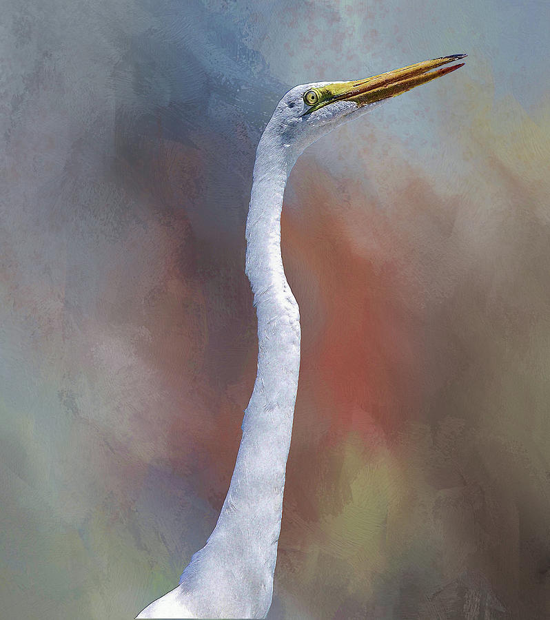Great Egret Portrait 1 Digital Art by Linda Brody