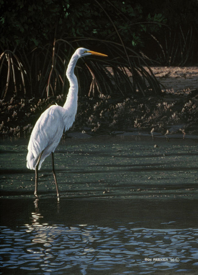 Great Egret Painting by Ron Parker