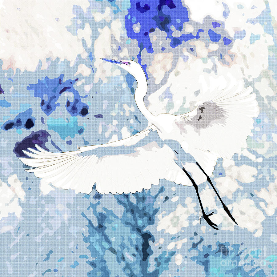 Great Egret Wings Digital Art Blue Square  Photograph by Carol Groenen