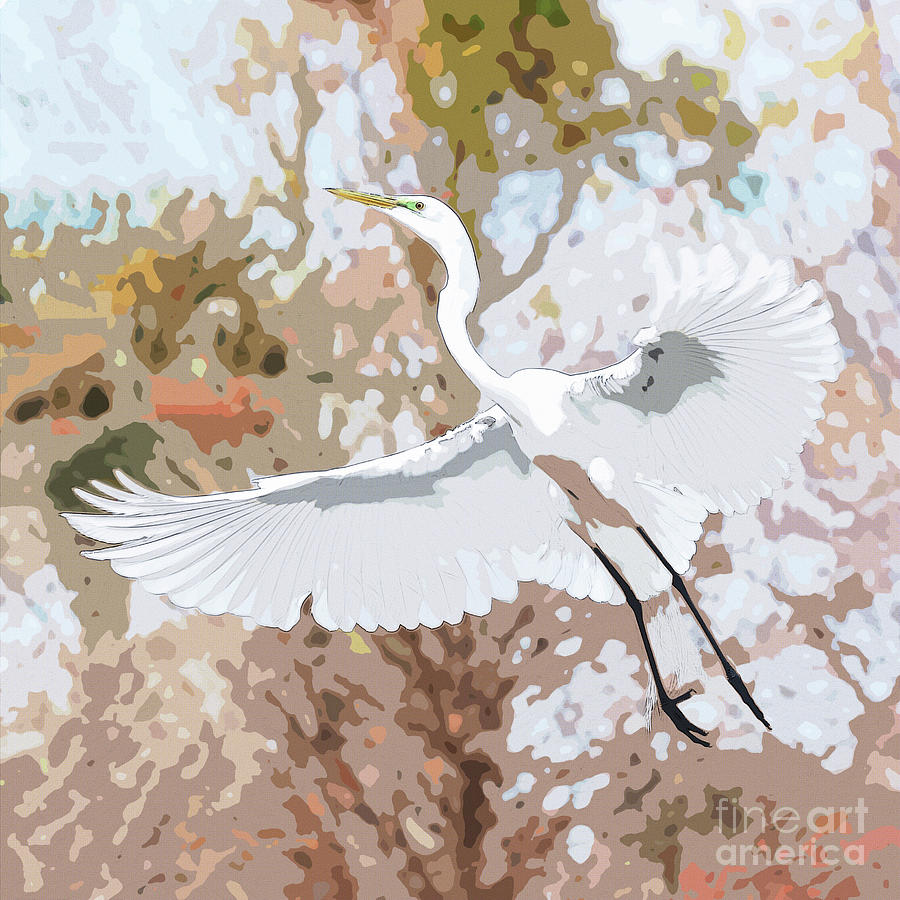 Great Egret Wings Digital Art Soft Photograph by Carol Groenen