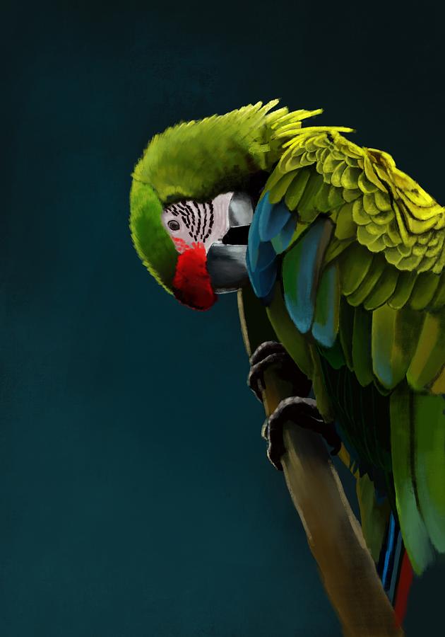 Parrot Digital Art - Great Green Macaw by KC Gillies