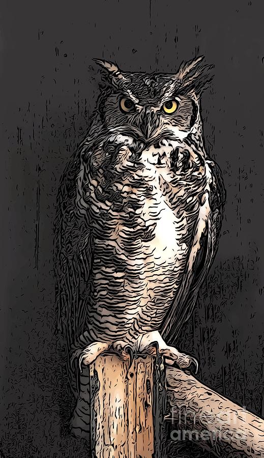 Great Horned Owl Digital Art by Alan Schroeder
