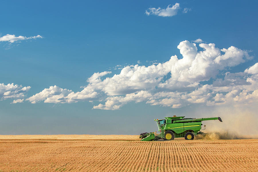 Great Plains Harvest Photograph by Todd Klassy