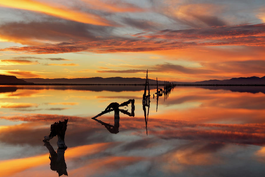 Landscape Digital Art - Great Salt Lake Pilings Sunset 11-16  3044 by Mike Jones Photo
